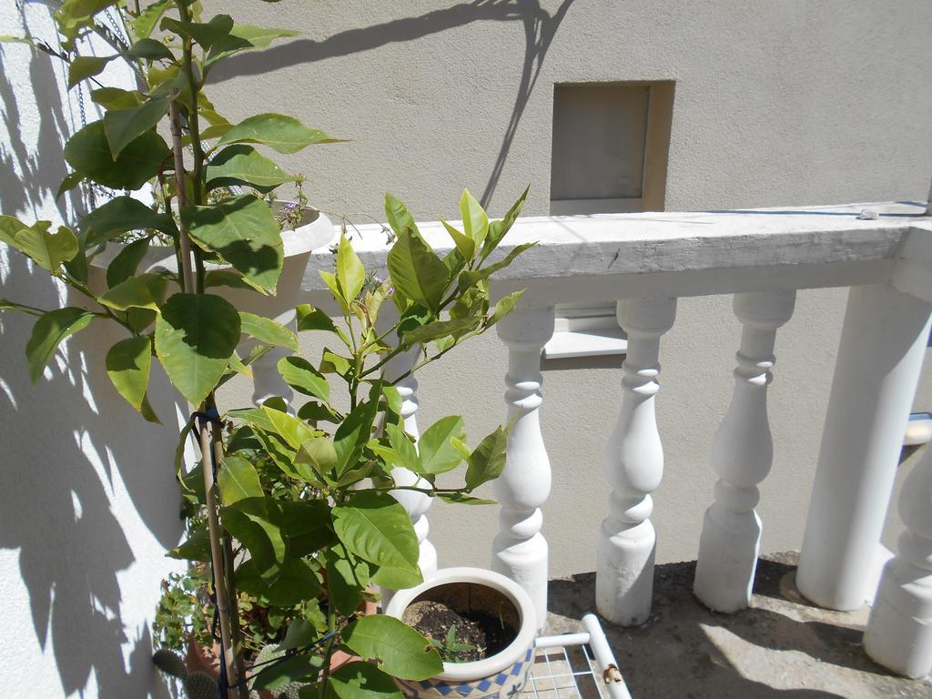 Apartments Ema Szybenik Zewnętrze zdjęcie
